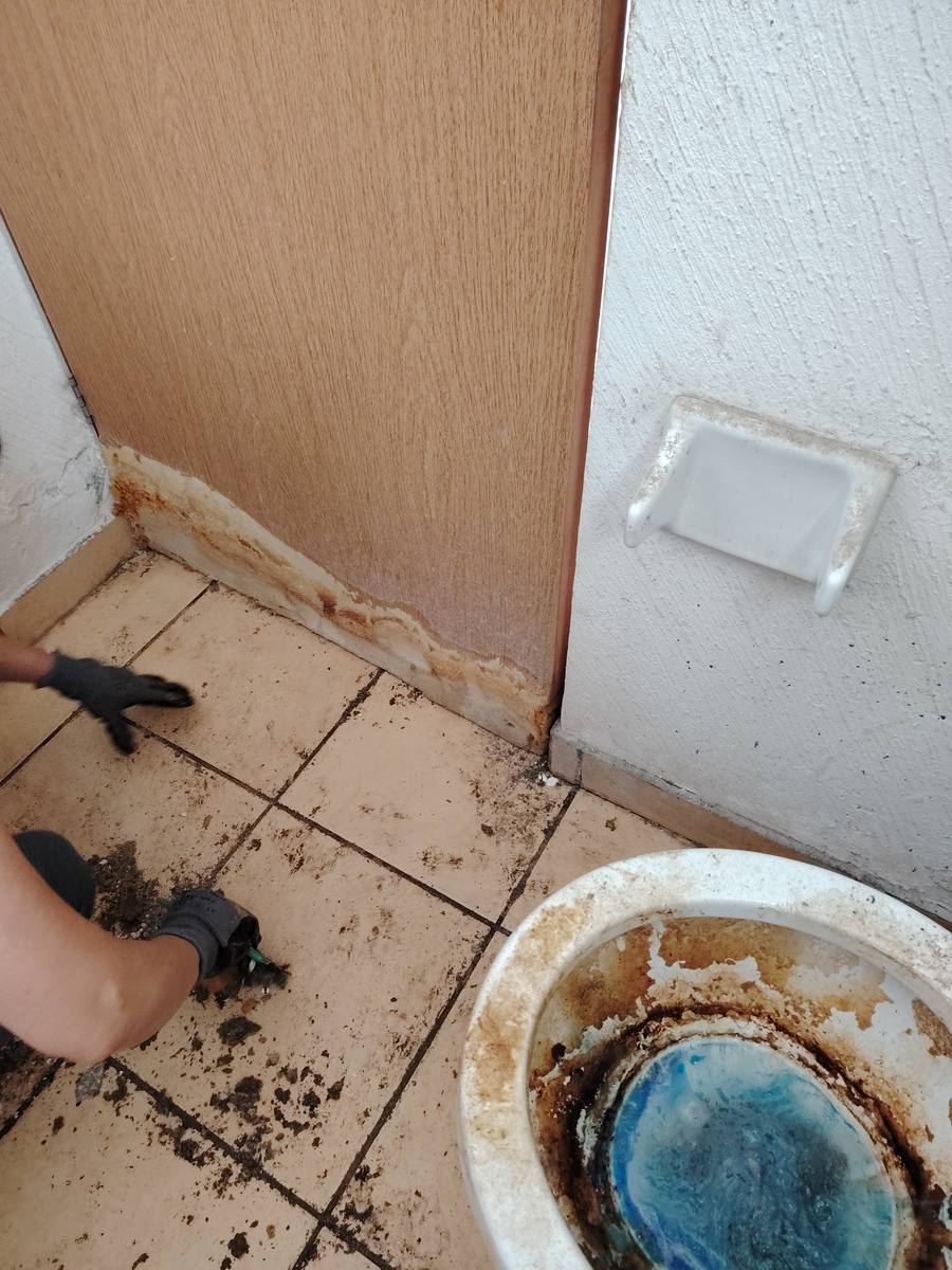 Limpieza profunda de baño